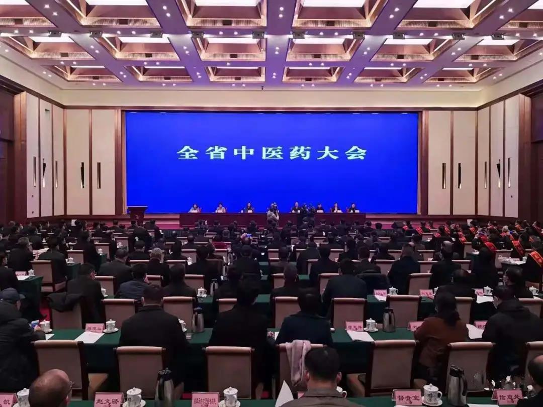 见证盛典，公司应邀参加 湖南省中医药大会